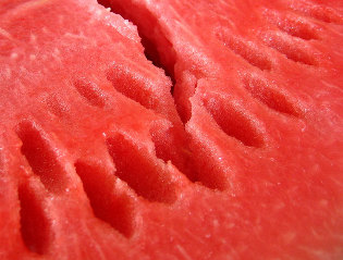 Wassermelone zum abnehmen